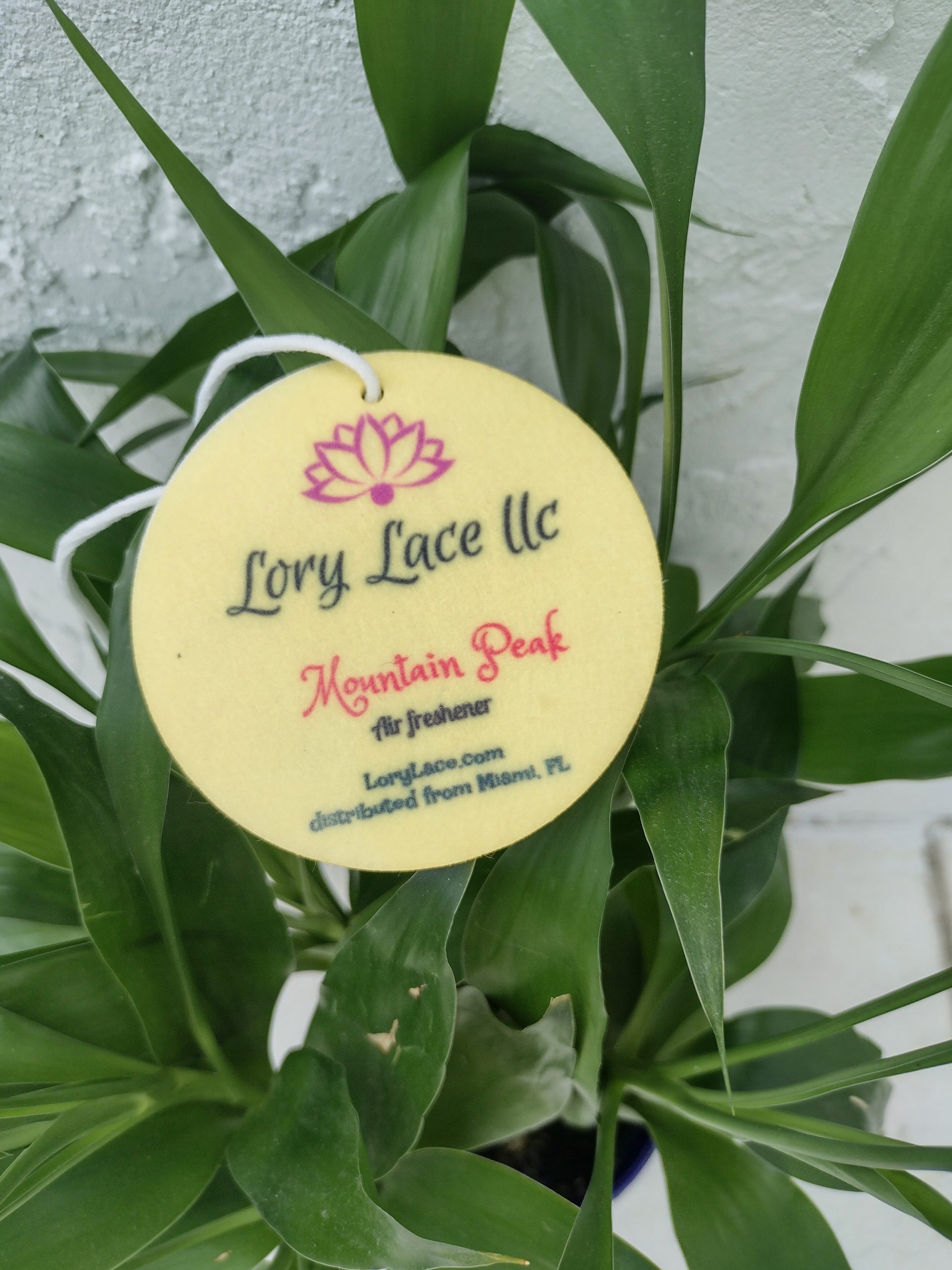 Natural Air Freshener | Spiced Aromatic - Lory Lace